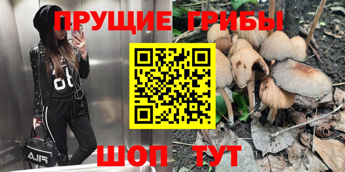Псилоцибиновые грибы GOLDEN TEACHER Арсеньев