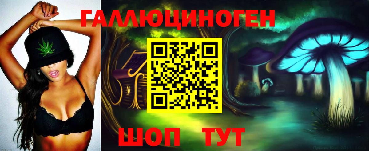 Арсеньев  Галлюциногенные грибы Cubensis  Вход с VPN 